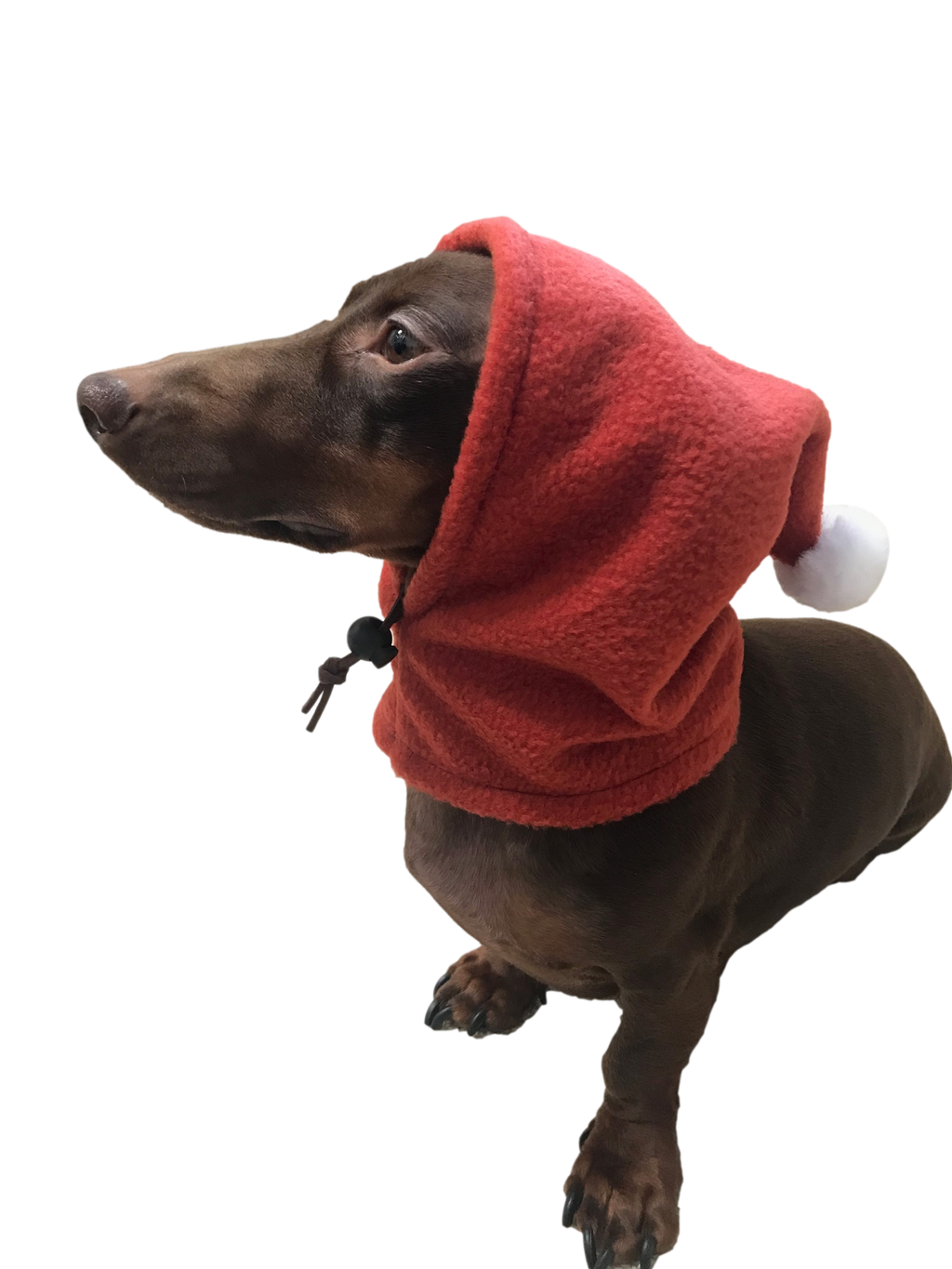 Dachshund Hoodie – Cozy Dog Sweatshirt for Wiener Dogs